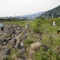 長良川の河川清掃を実施しました