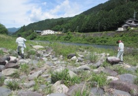 吉田川の河川清掃を実施しました