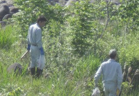 長良川の清掃活動