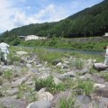 吉田川の河川清掃を実施しました